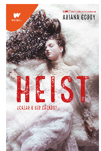 HEIST - WP